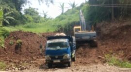 CREATOR: gd-jpeg v1.0 (using IJG JPEG v62), quality = 82?